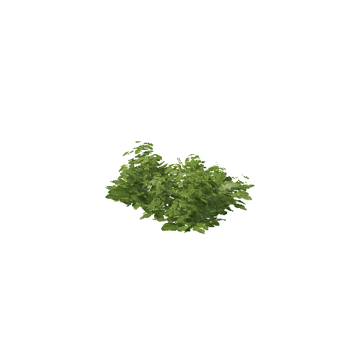 Plant 25_LOD_1